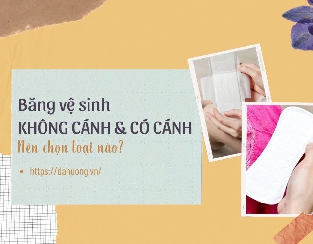 bang-ve-sinh-khong-canh