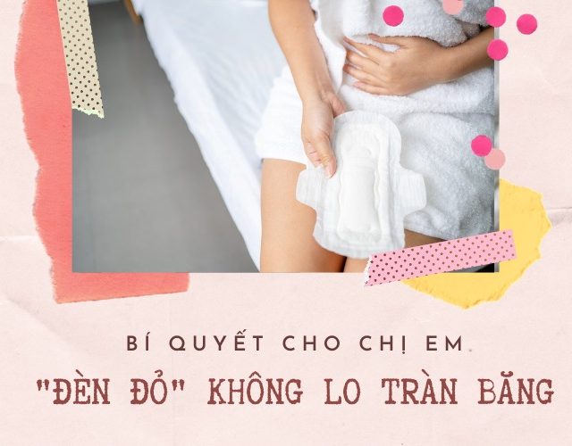 dan-bang-khong-tran