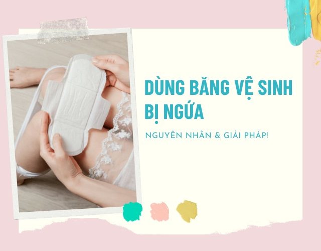 dung-bang-ve-sinh-bi-ngua